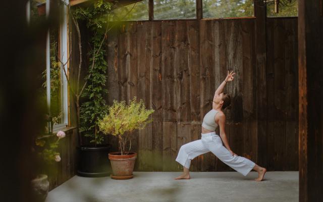 Rachtel Grant - Gentle Vinyasa yoga - De evolutie
